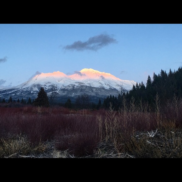 New here Workin on curated closet! Stay tuned!🌟 - Picture 3 of 6